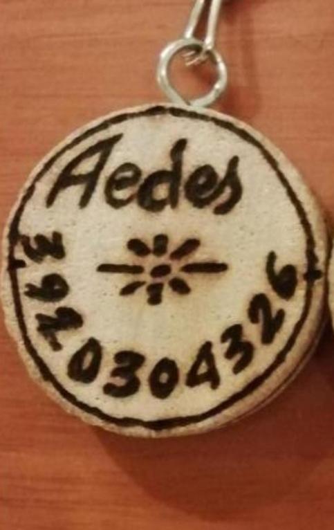 Gruppo Aedes Alghero, Residenza Michelangelo - 500 Mt Dalla Spiaggia Екстериор снимка